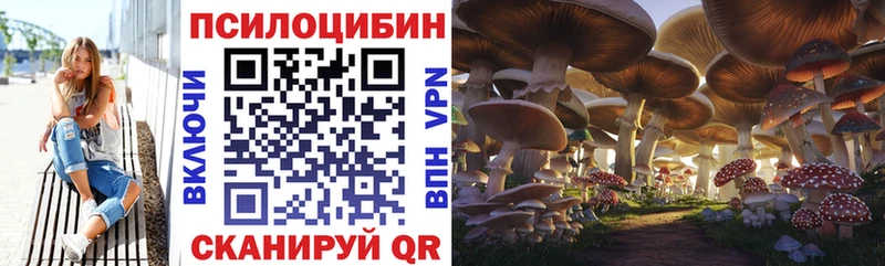 Псилоцибиновые грибы MAGIC MUSHROOMS  Красково 